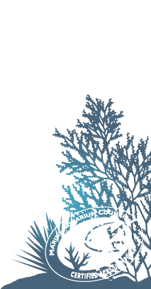 Marine Aquarium Council Certified